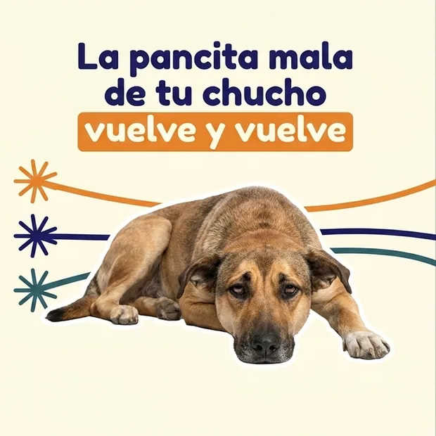 Anuncio Meta Ads SPEKGEN