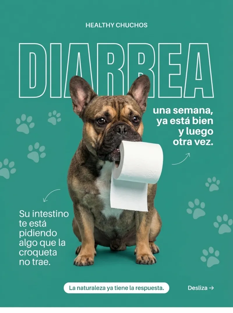 Trabajo SPEKGEN