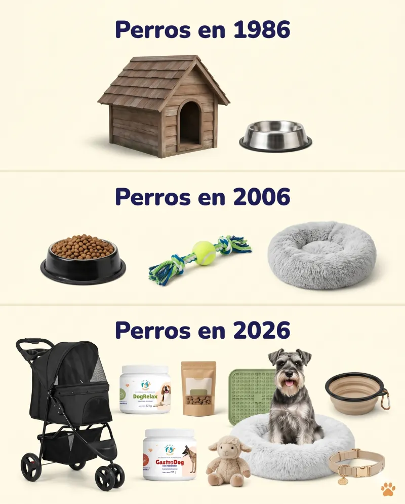 Trabajo SPEKGEN