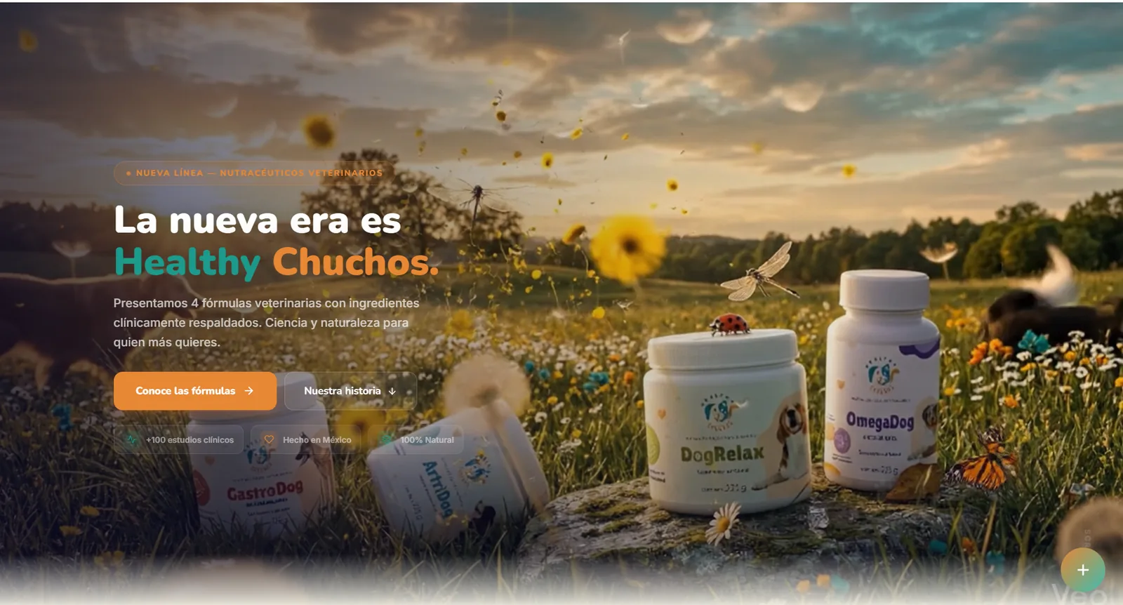 Healthy Chuchos