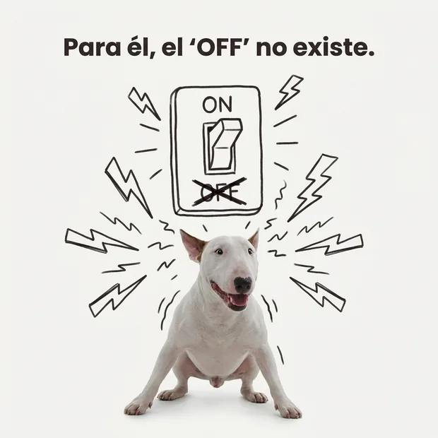 Contenido orgánico SPEKGEN